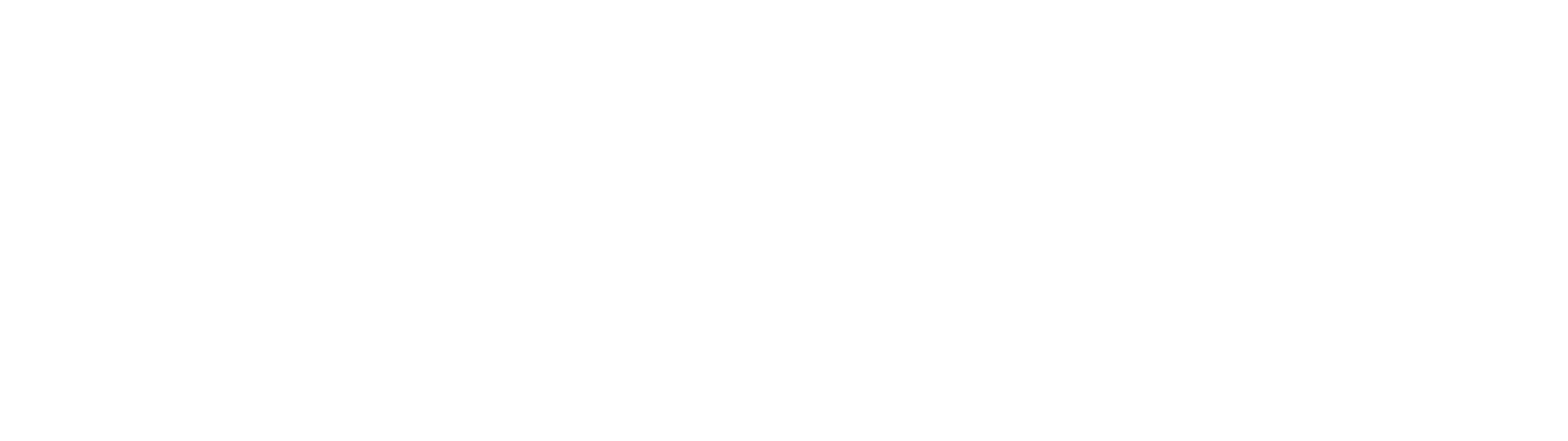 CondorTravel Logo